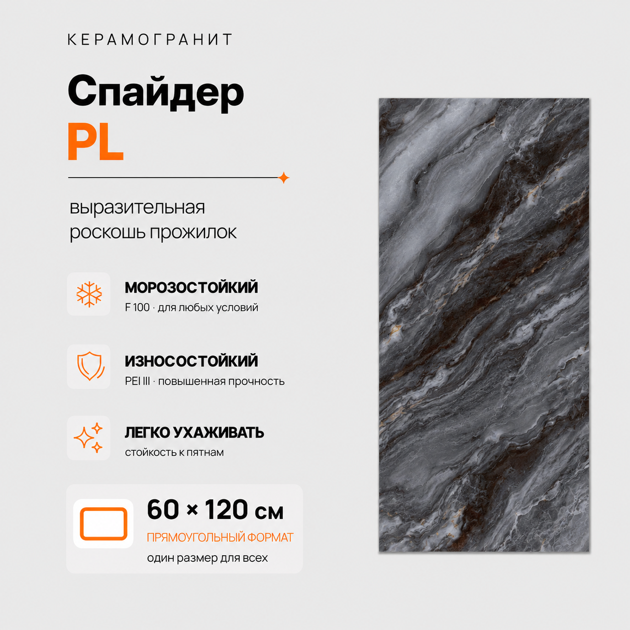 Спайдер PL (Сепидар) Spaider PL (Sepidar)