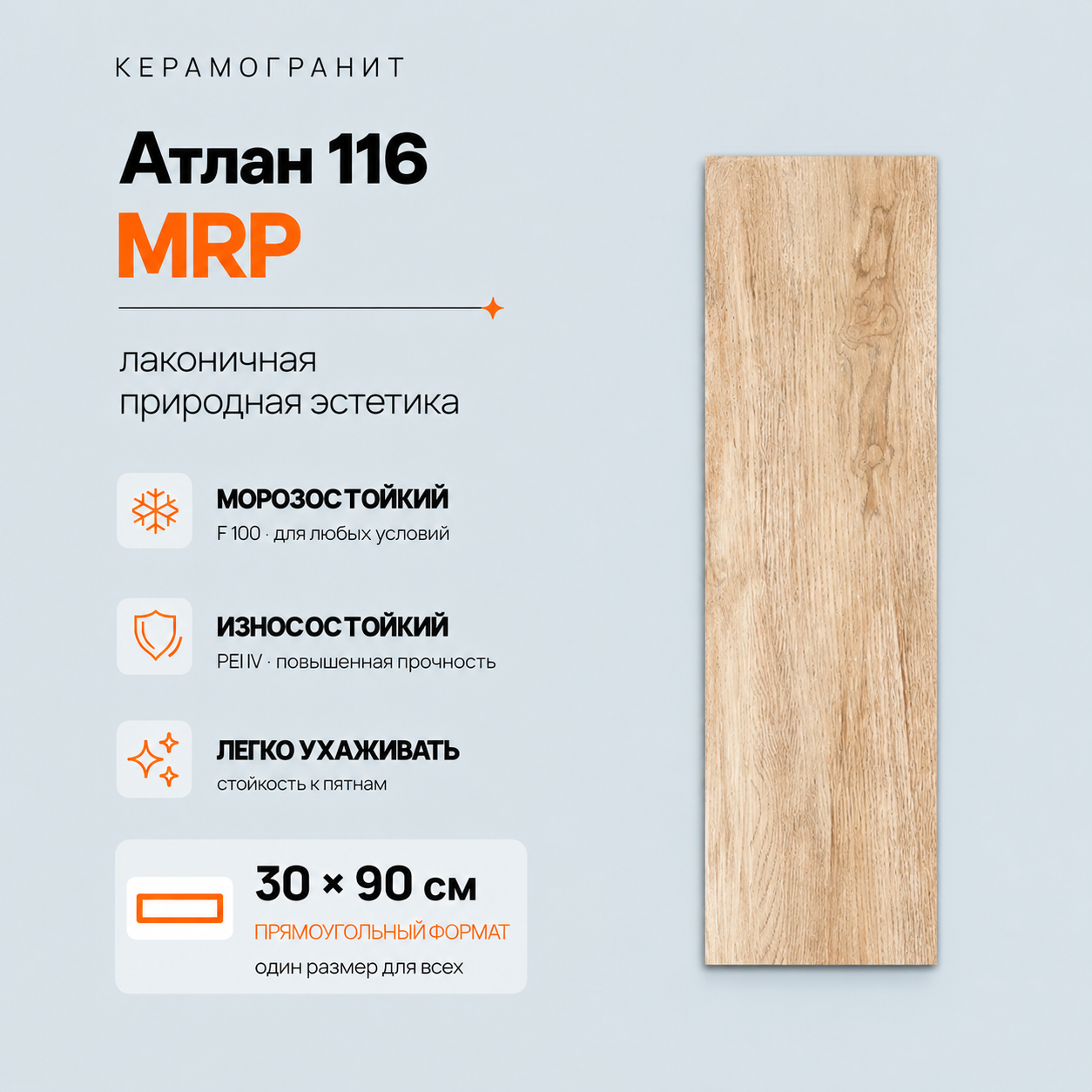 Атлан 116 MRP Atlan 116 MRP